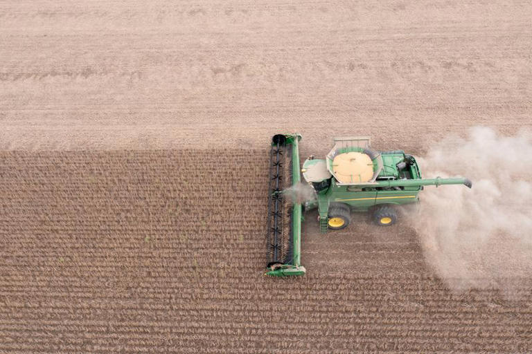 An aerial view of a combine harvester as it harvests soybeans in Deerfield, Ohio, U.S., October 7, 2021. Picture taken with a drone. REUTERS/Dane Rhys