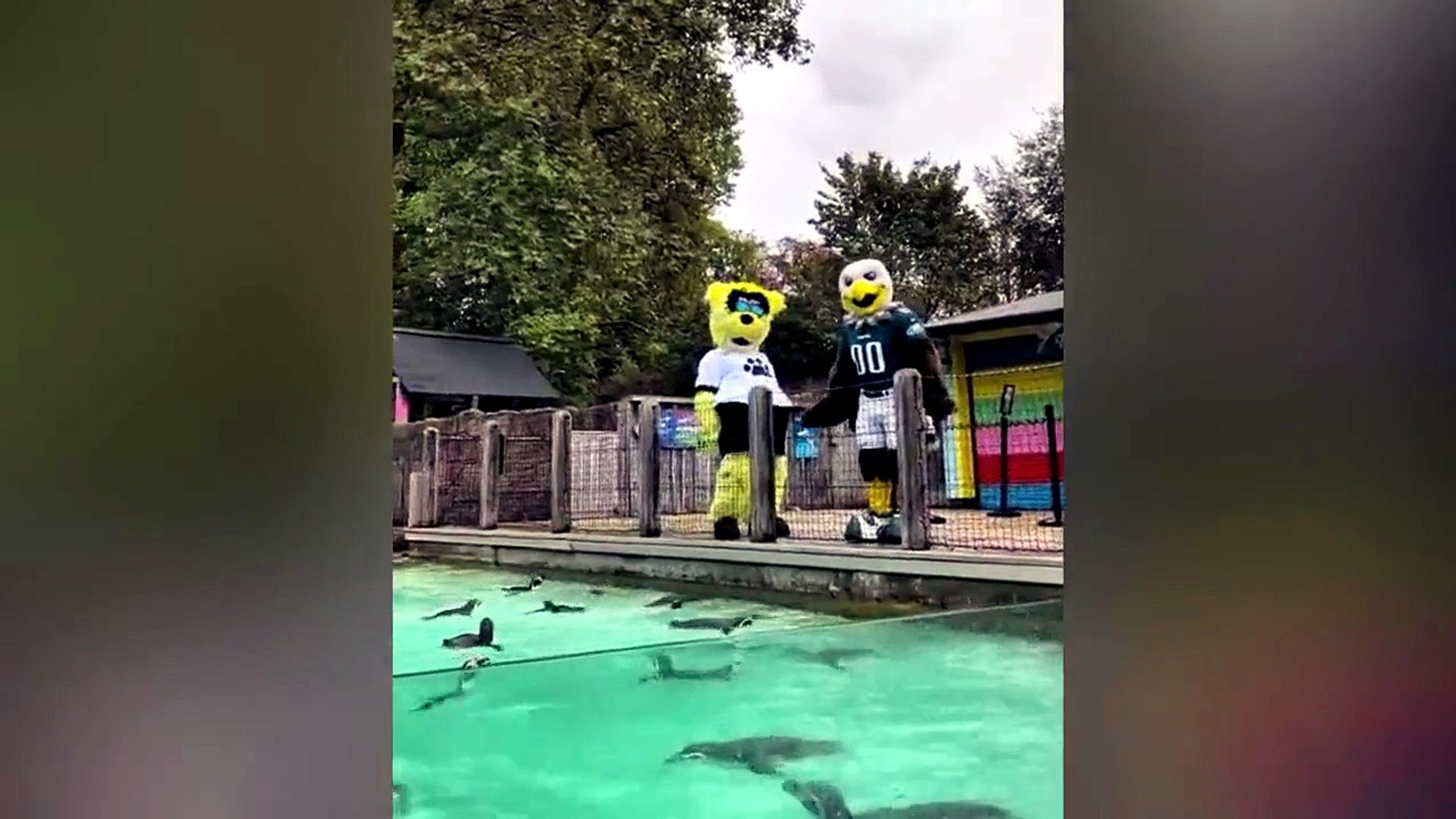 Iconic NFL mascots spotted in London Zoo as American football returns ...