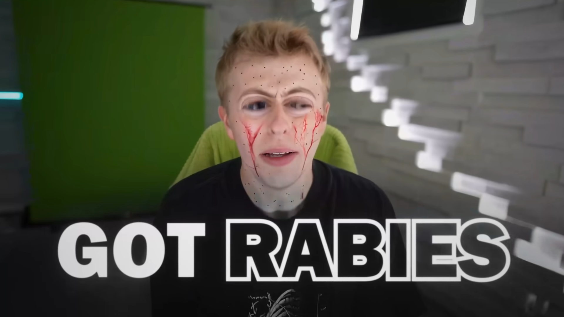 Someone Got Rabies - And Everything Went Down The Hill!
