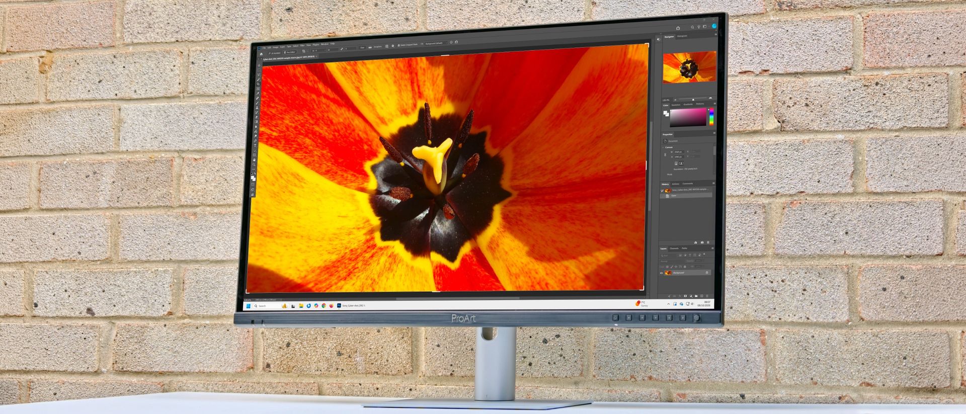 ASUS ProArt Display OLED PA279CDV professional monitor review