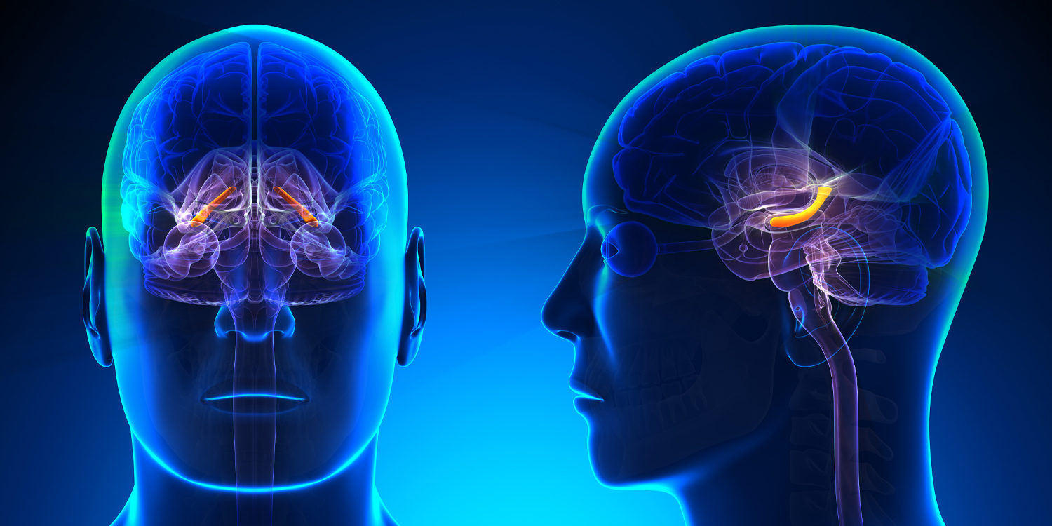 Brain replays motor skills during sleep without help from the memory center