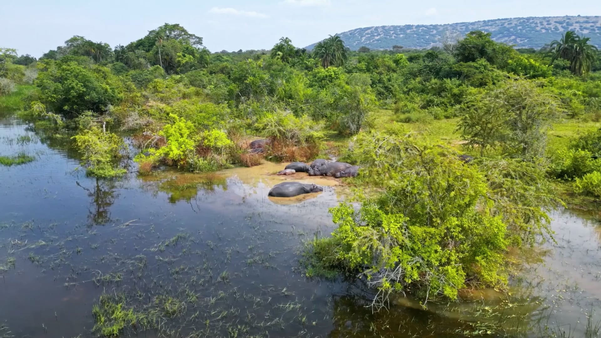 Akagera National Park, Africa: Drone captures Rwanda's majestic ...
