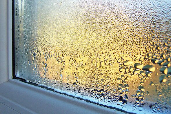 Condensation will disappear from window by wiping 1 household item over ...