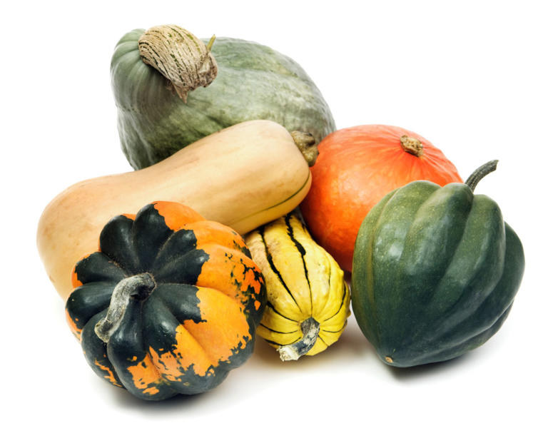 Why your winter squash is rotting from the bottom in October – and what ...