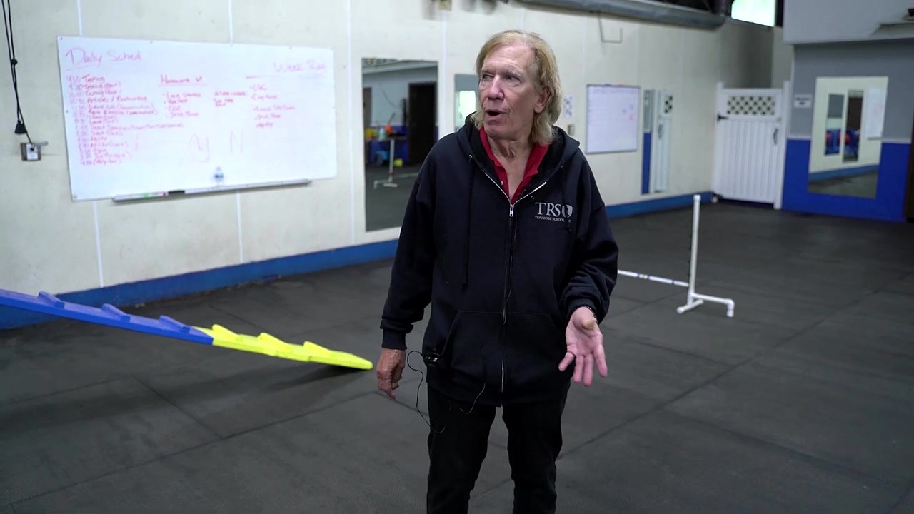 Tom Rose reveals the secrets to teaching agility weave poles and tunnels