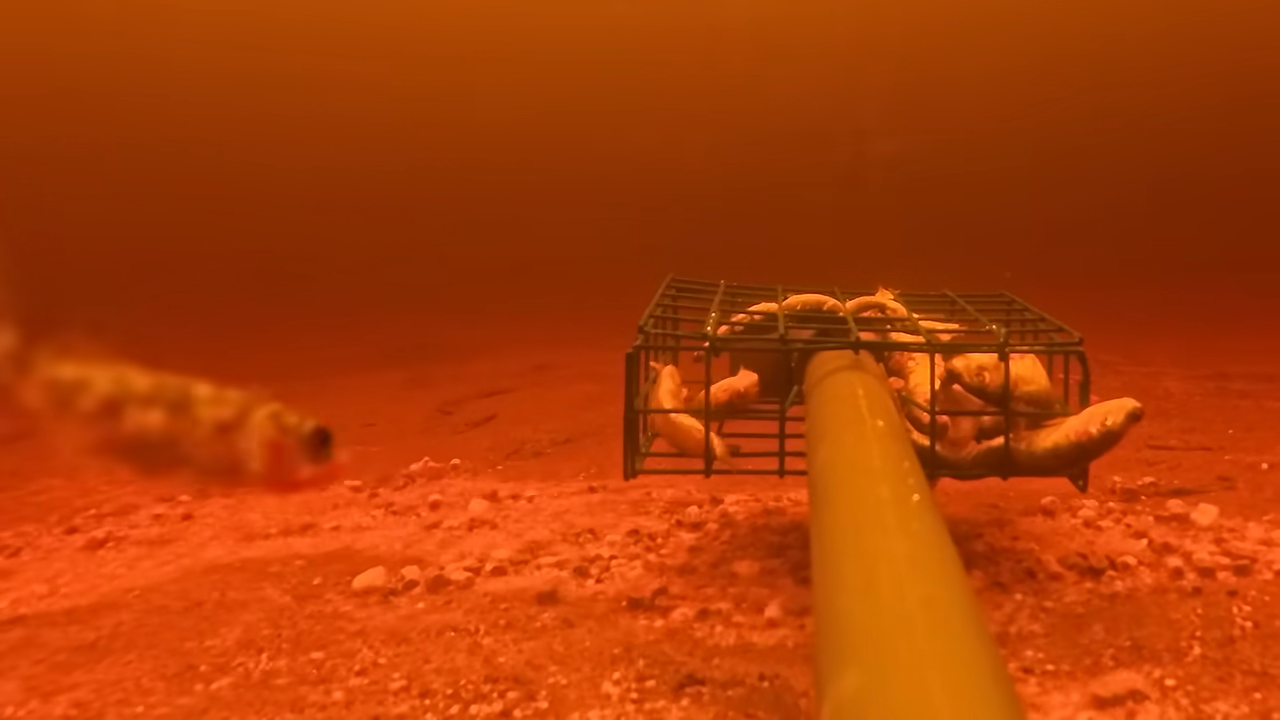 A camera is sent into Loch Ness for monsters — then the debris in the ...
