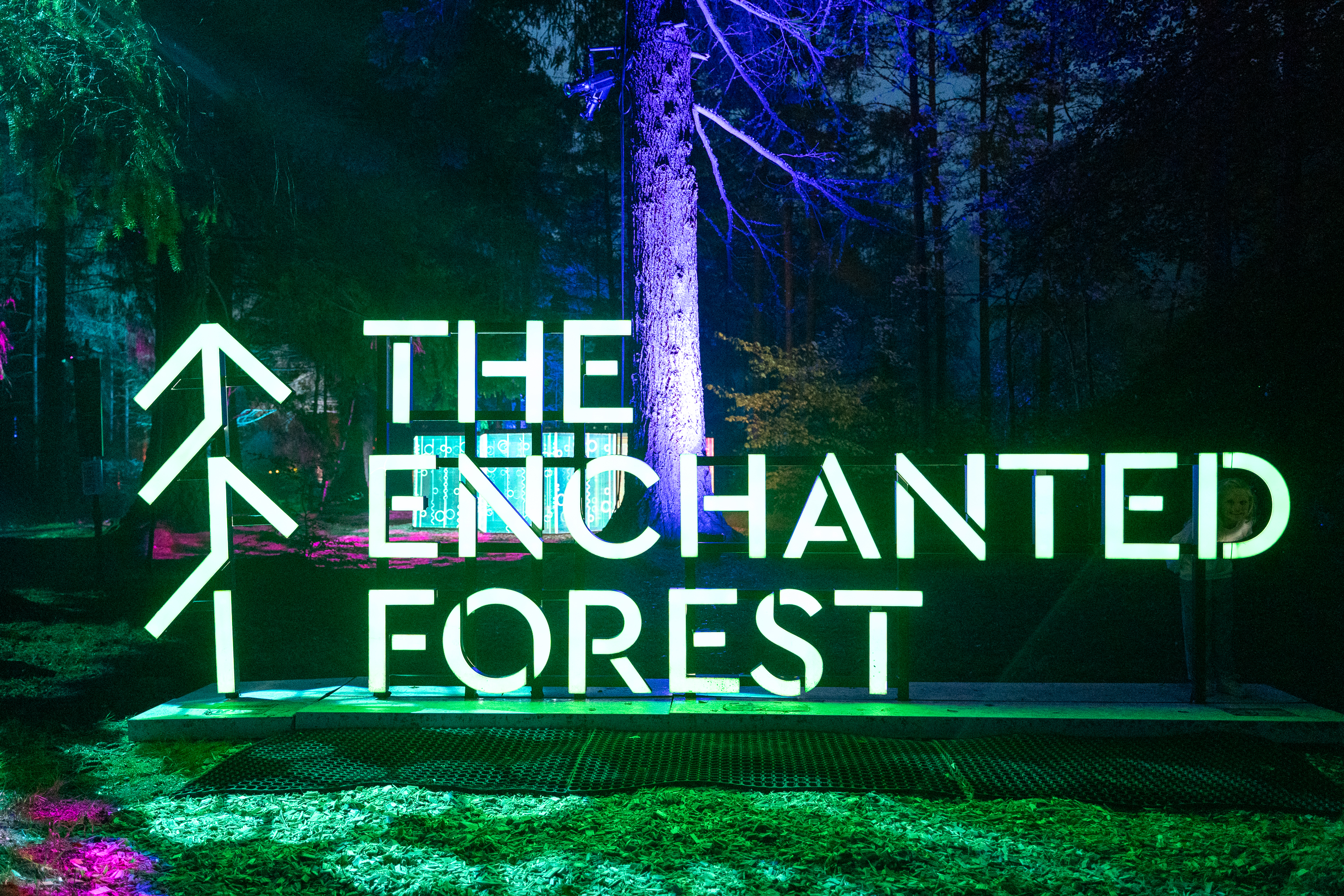 What to expect from this year’s Enchanted Forest Stop the Clock: The ...