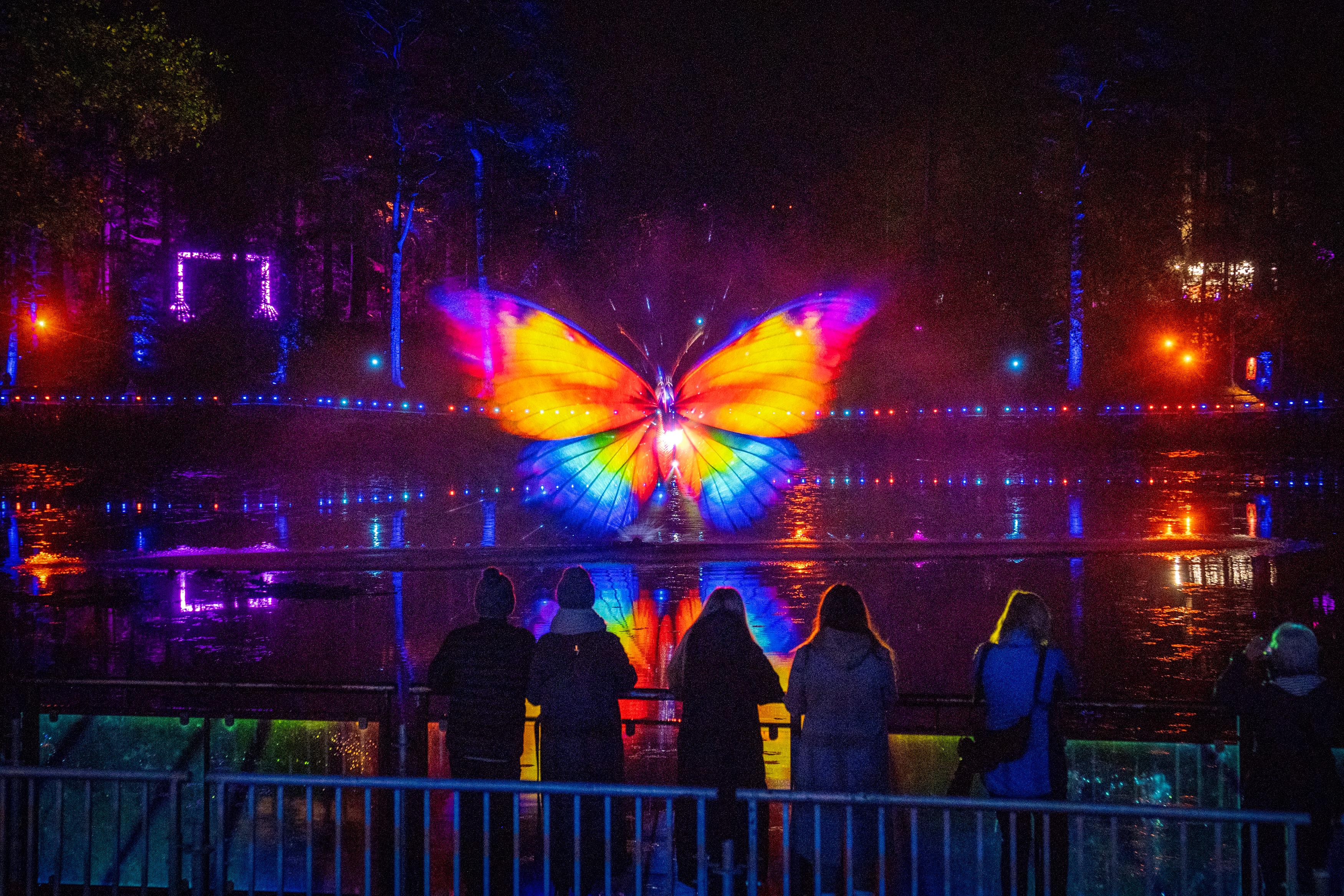 Enchanted Forest Stop the Clock 2026 In pictures: 13 pictures of this ...