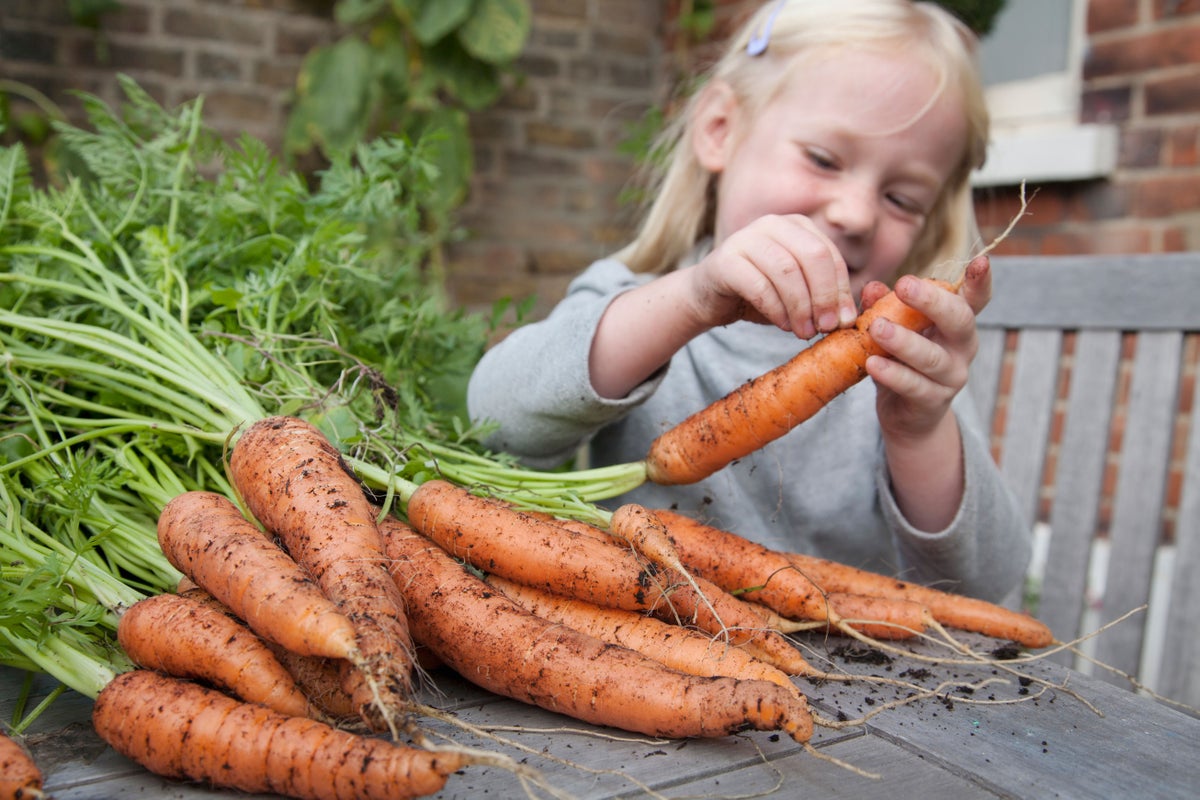Vegetables are now half as nutritious than 60 years ago