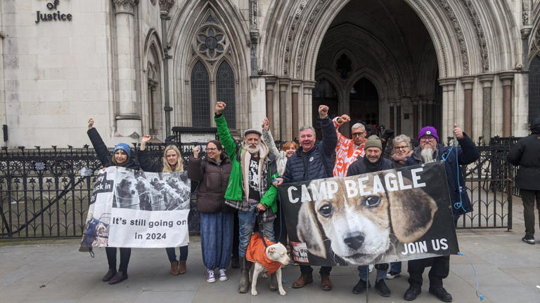 Animal-rights protester arrested following puppy raid at biomedical centre
