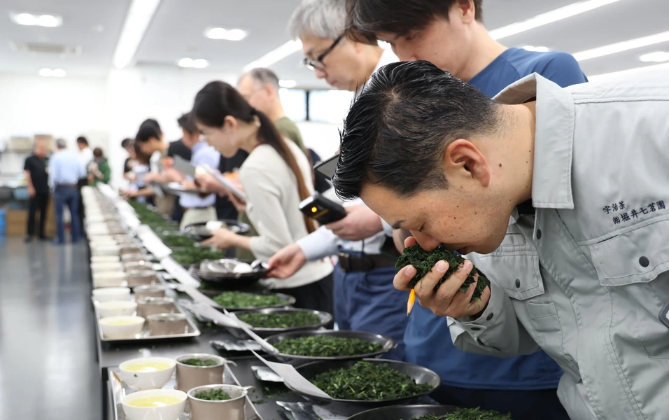 Matcha health benefits drive demand as supply strains persist
