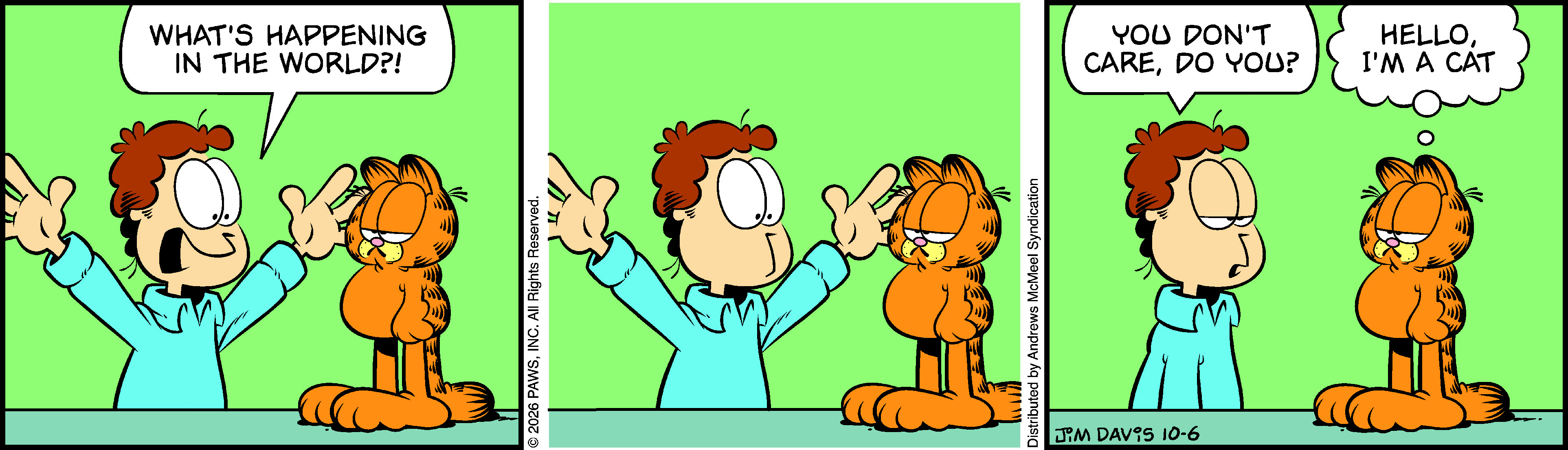 Garfield by Jim Davis