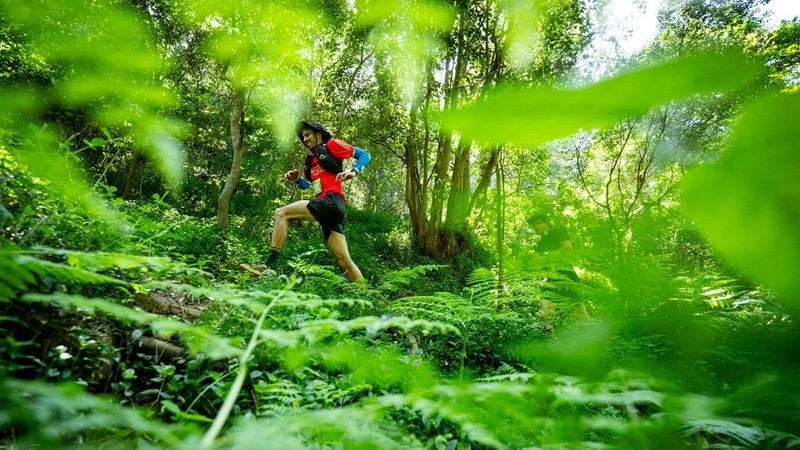 Cape Town set for 2026 RMB Ultra-trail