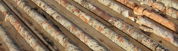 Greenland Mines brings two major critical minerals opportunities together