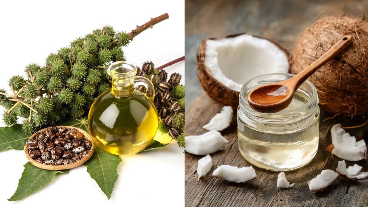 Castor oil vs coconut oil: Which hair oil wins the winter hair growth game?
