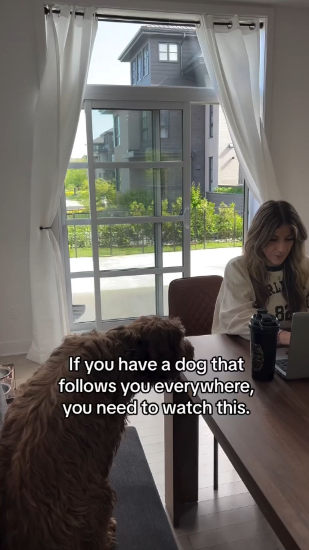 Simple tips for creating healthy boundaries with a needy dog