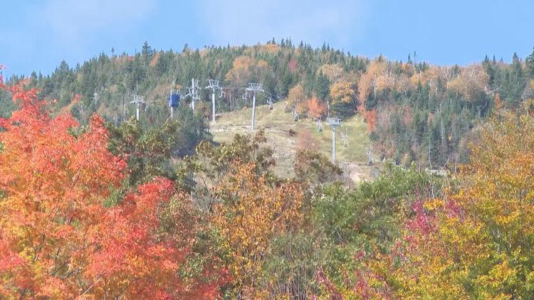 Parts of New York could reach peak fall foliage this weekend