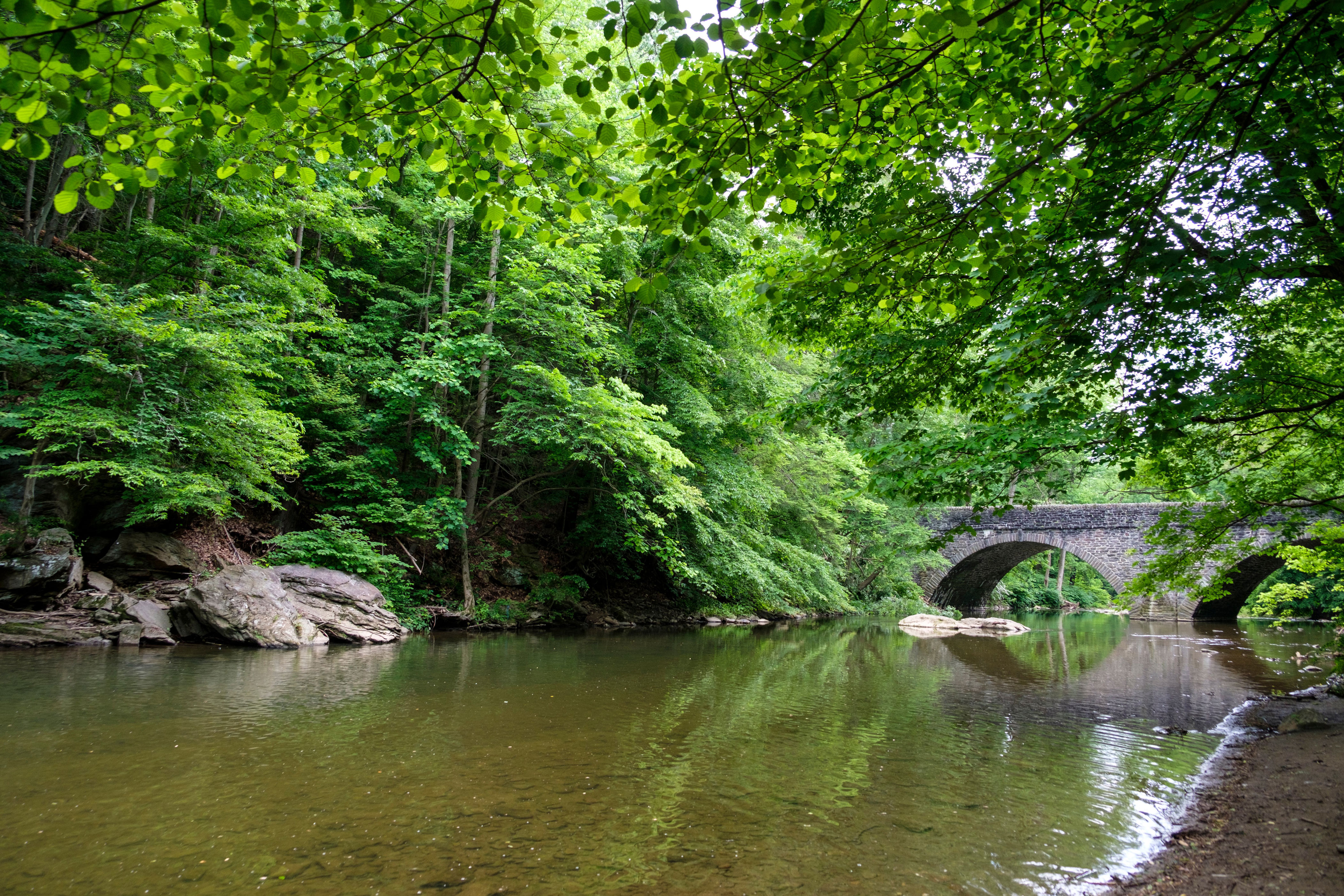 'Do not eat' advisory issued for all fish in Wissahickon Creek basin
