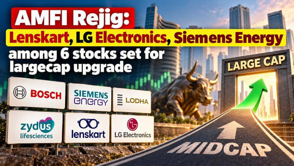 AMFI rejig: Lenskart, LG Electronics, Siemens Energy among 6 stocks set ...