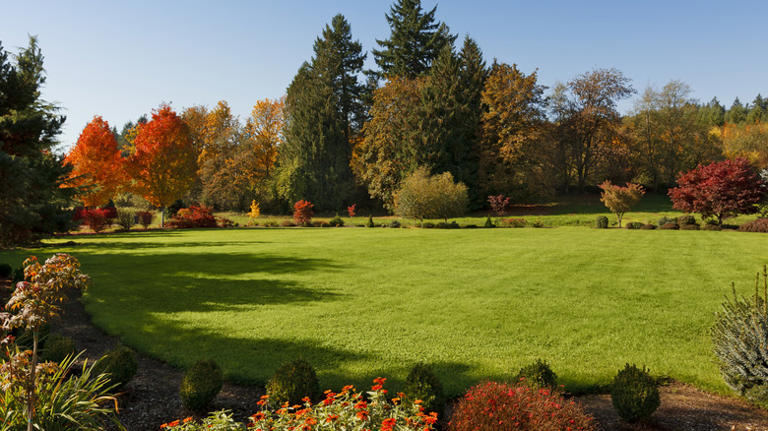The type of grass you should be topdressing in the fall for a greener ...