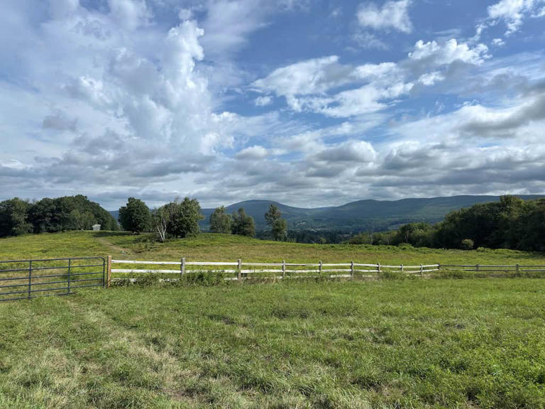 14 easy hikes in the Berkshires, Massachusetts (plus a few tougher trails)