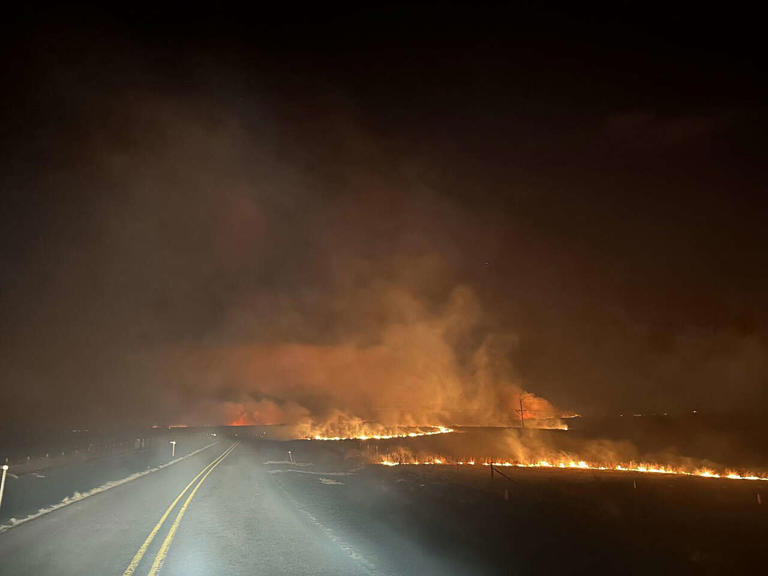 80,000-acre Turkey Track Ranch back for sale after historic Texas fire