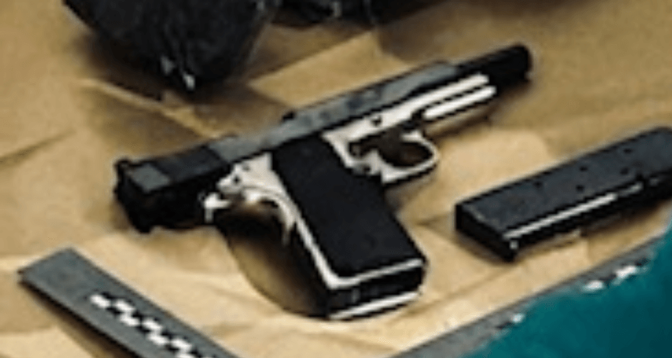Nursery shuts down as police officers swarm to the scene to remove guns ...