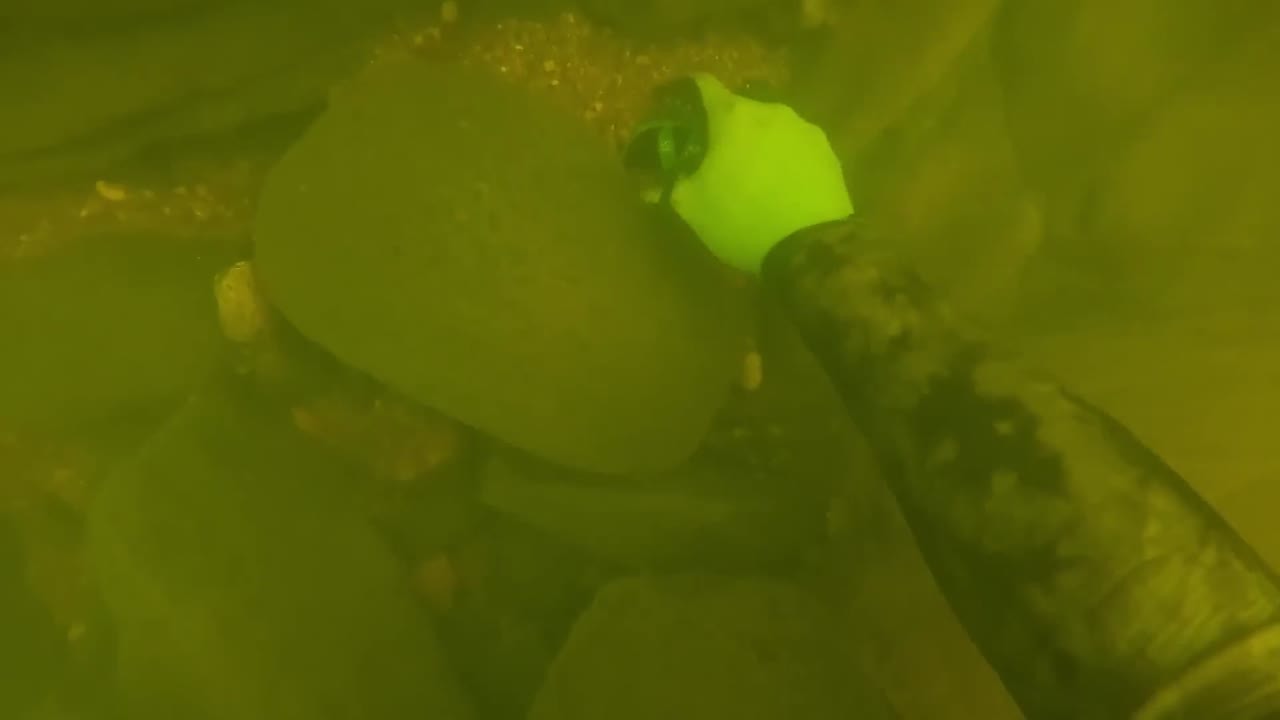 A diver entered the lake’s deepest, most dangerous fishing spot, and ...