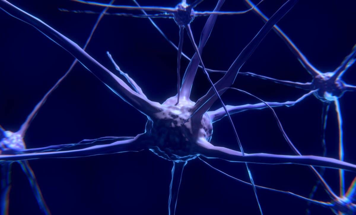 These brain neurons may reveal a new way to tackle hard-to-control ...