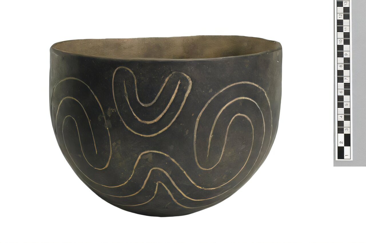Pottery styles reveal contrasting paths to social complexity in ...