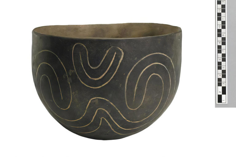 Pottery styles reveal contrasting paths to social complexity in ...