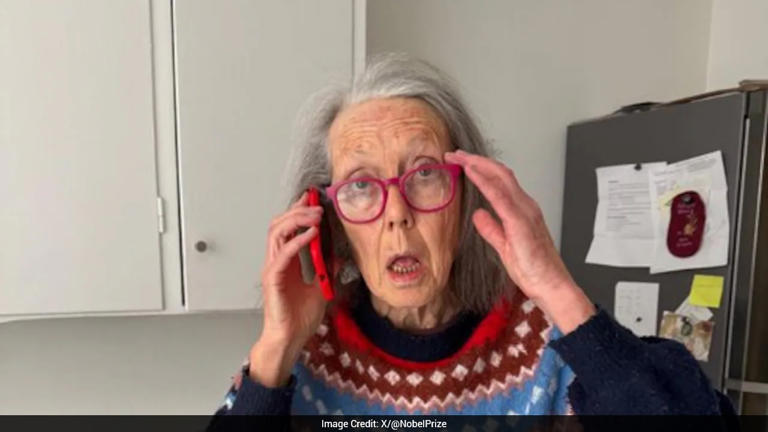 It seems a little insane: Anne Carson was sweeping her kitchen floor ...