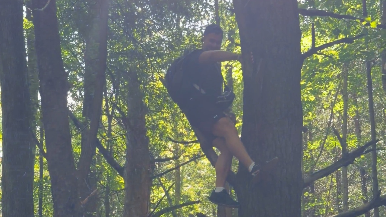 Dad tries showing kids how to climb tree before branch breaks