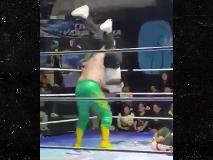 Wrestler arrested after referee dies from piledriver, charged with ...