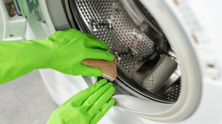 Keep your washing machine sparkling clean and mold-free with one ...