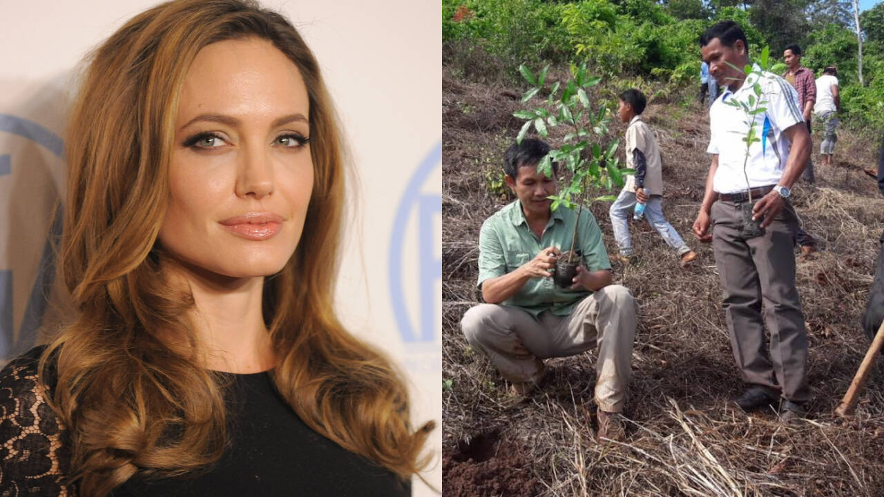 Angelina Jolie’s Cambodia foundation grew from mine-clearing to forest ...