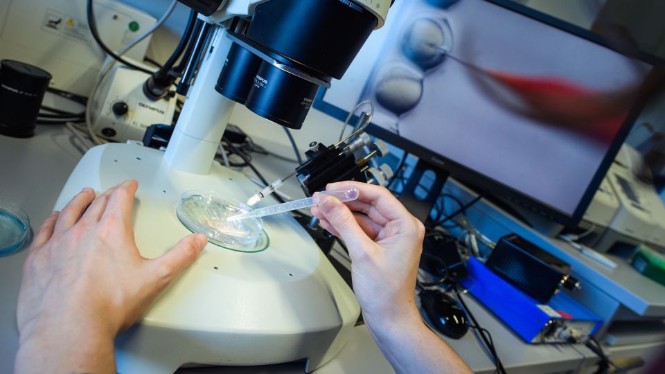 Anthropic’s announcement of a ‘Claude-led’ CRISPR-like discovery is ...