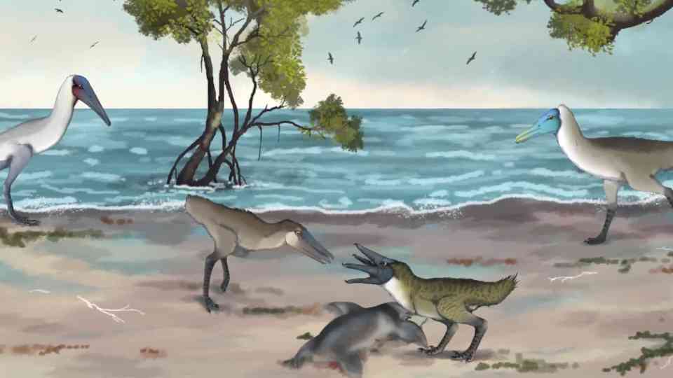 280 million years of bird evolution — Serina's hothouse age begins