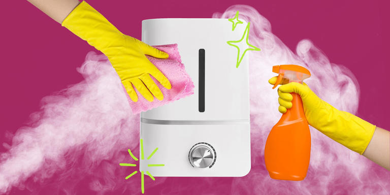 Your humidifier could be pumping mold into the air — here is how to ...