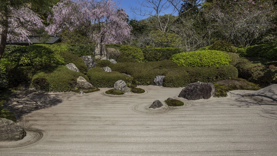 Creating a tranquil zen garden