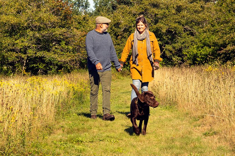 RSPCA 'take extra care' warning for dog walkers this October