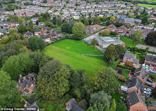 Villagers plunged into near constant shadow after trees planted by ...