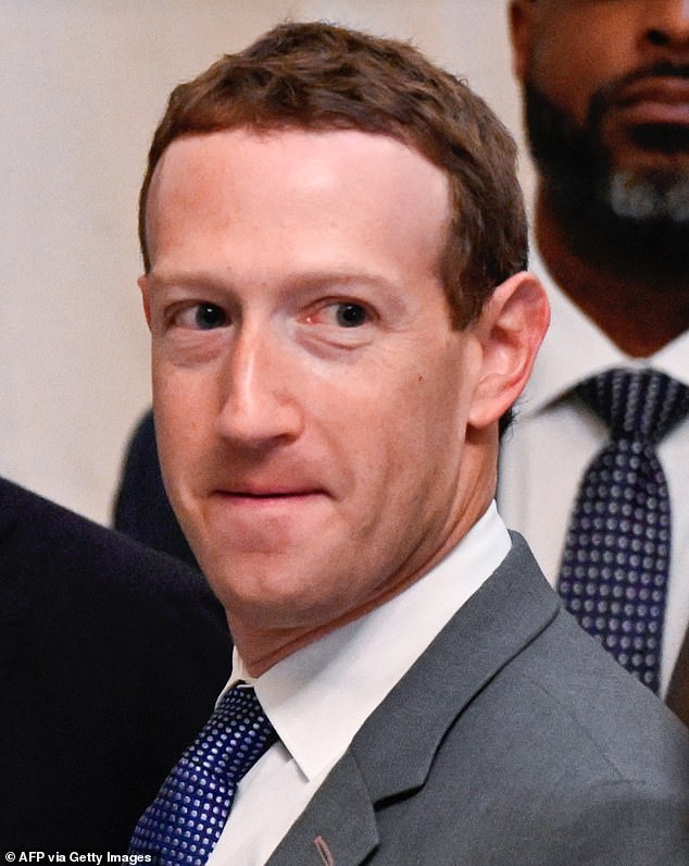 Mark Zuckerberg's sister stuns fans with scary resemblance