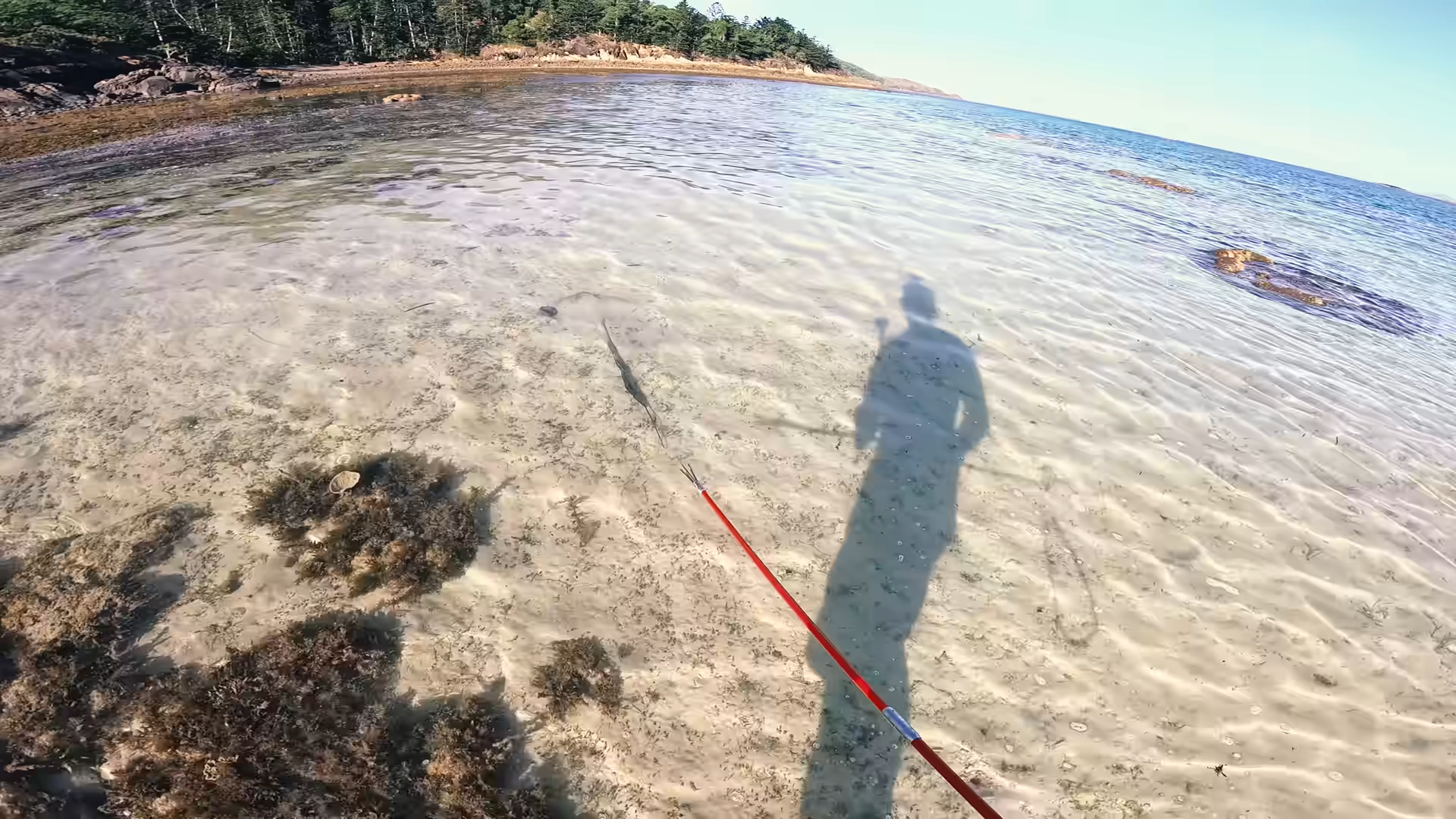 Days Solo Survival on Uninhabited Island (No Food, No Water, No Shelter)