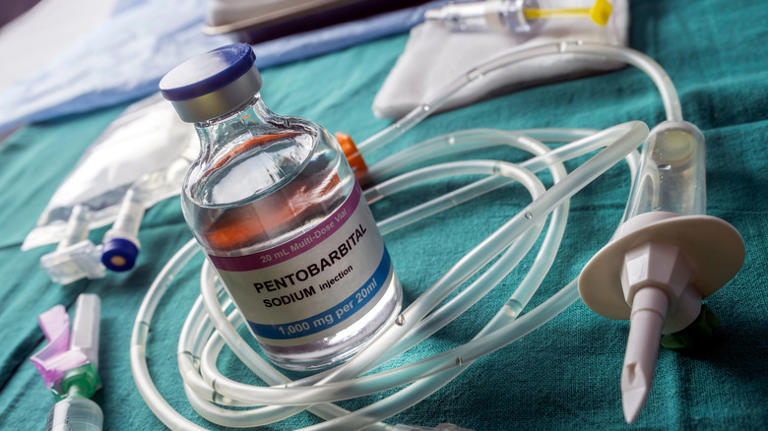 Why experts compare the drug used in Christa Pike's failed execution to ...