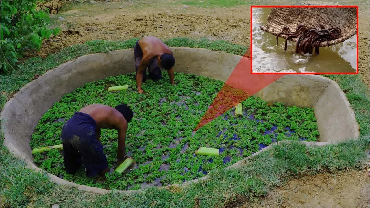 Watch these primitive craftsmen build a mini eel pond by hand