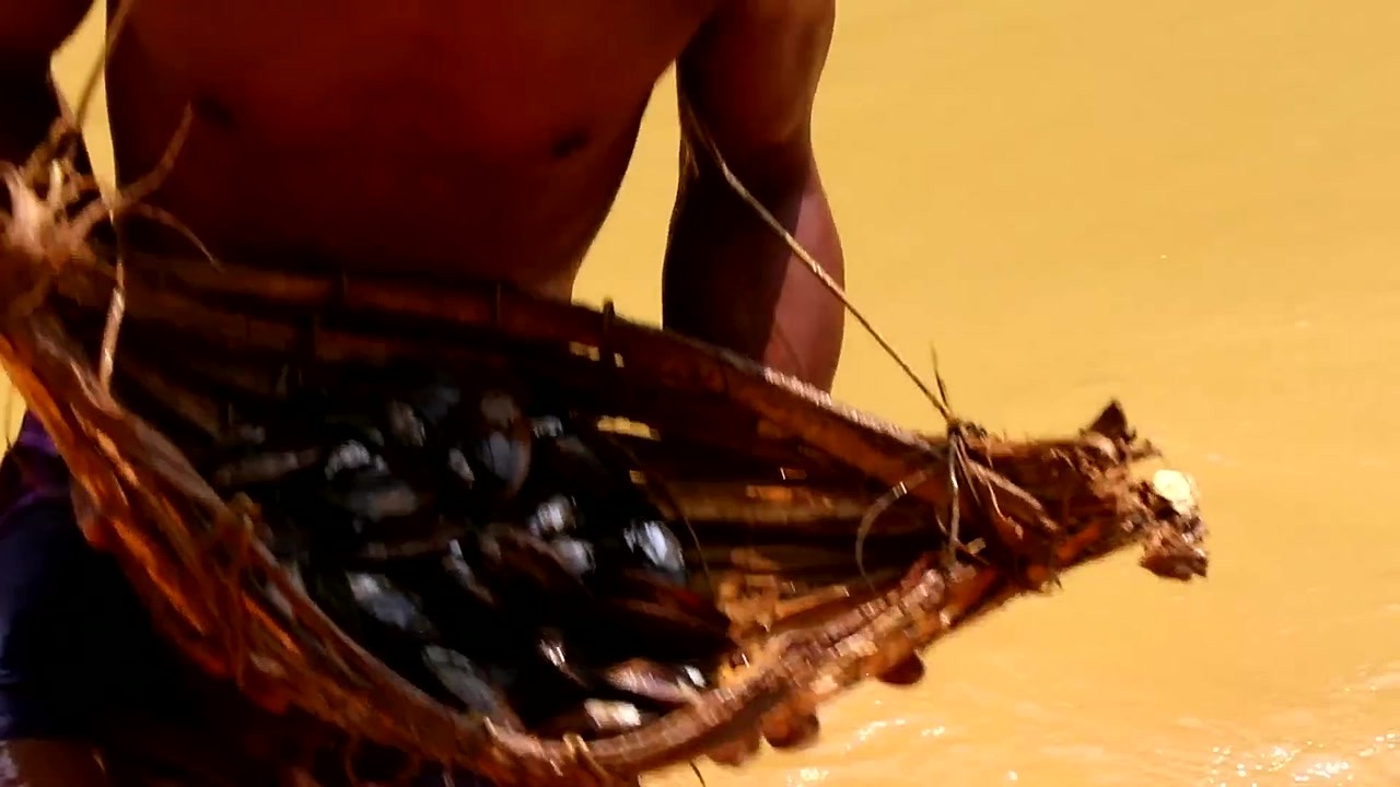 Watch these primitive craftsmen hunt for seafood with their bare hands