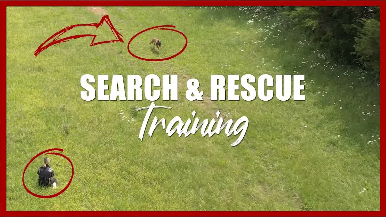 Tom Rose reveals the first step in search and rescue dog training