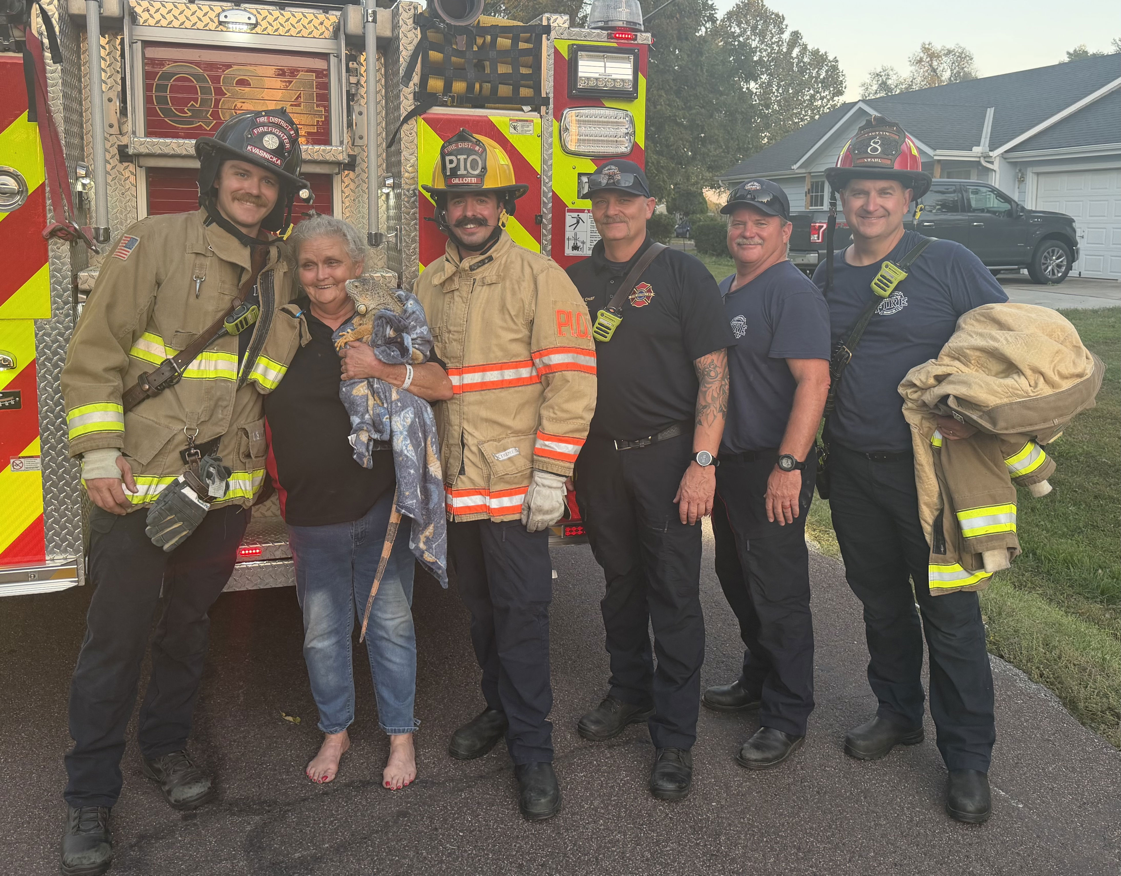 Iguana rescued from tree in Spring Hill neighborhood