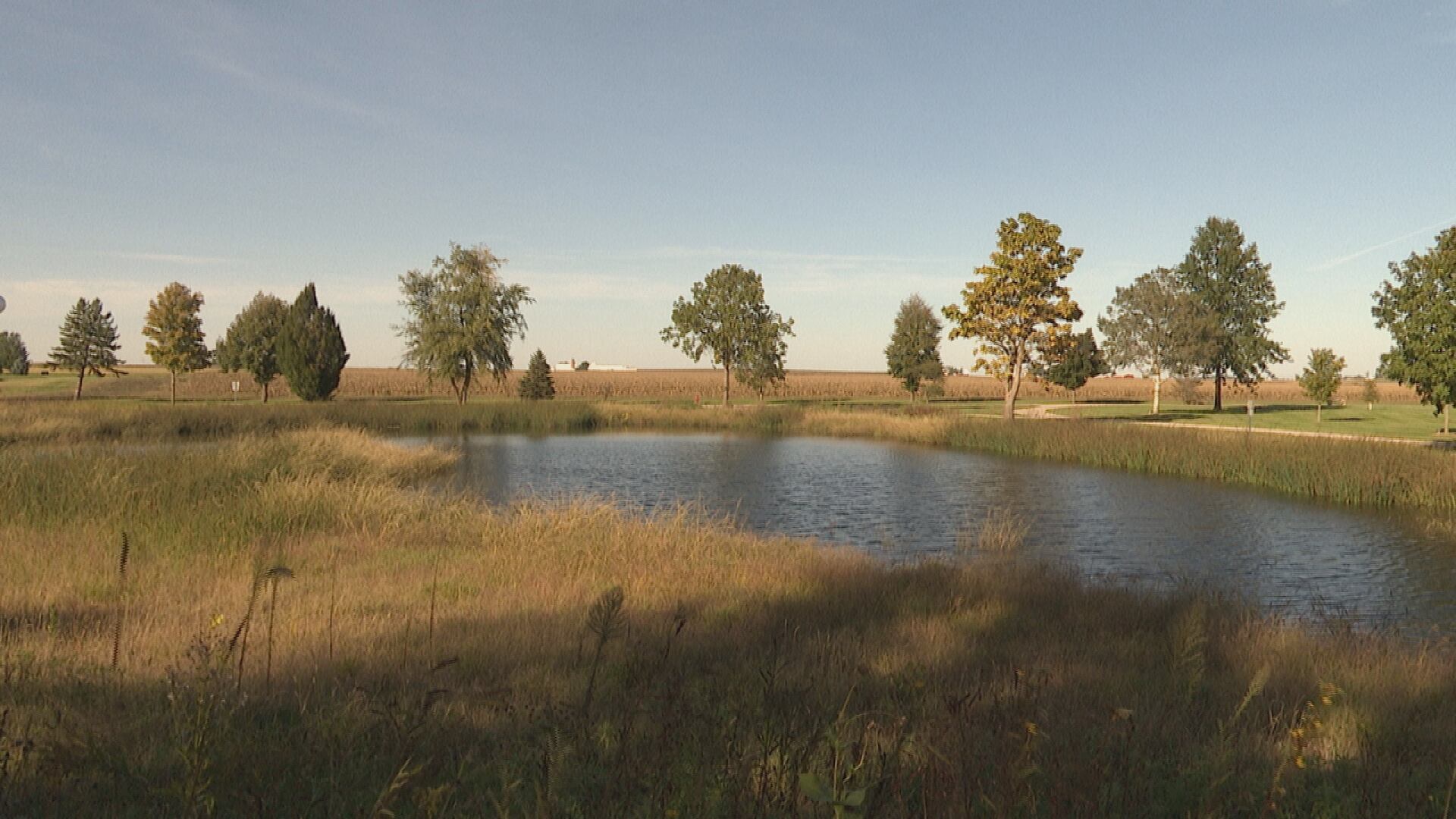 Wetland project in Durant filters water, paves way for housing development